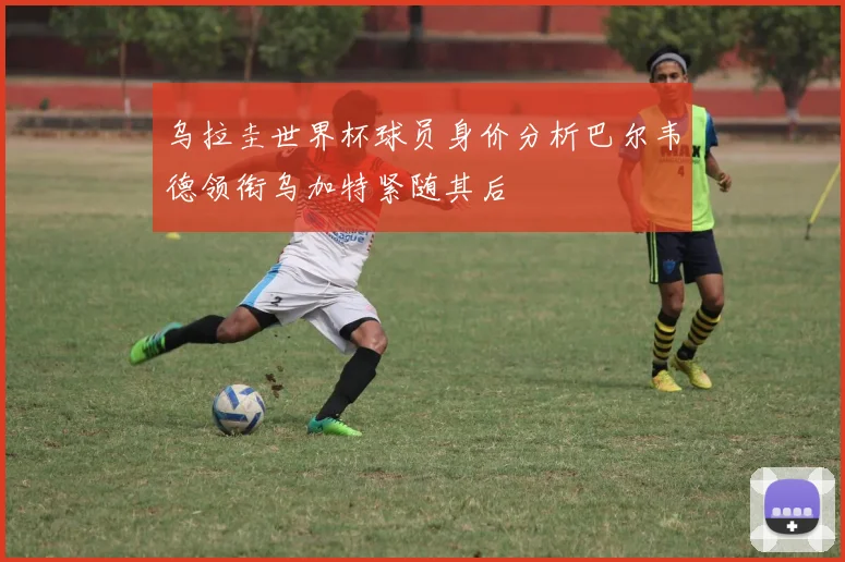 乌拉圭世界杯球员身价分析巴尔韦德领衔乌加特紧随其后